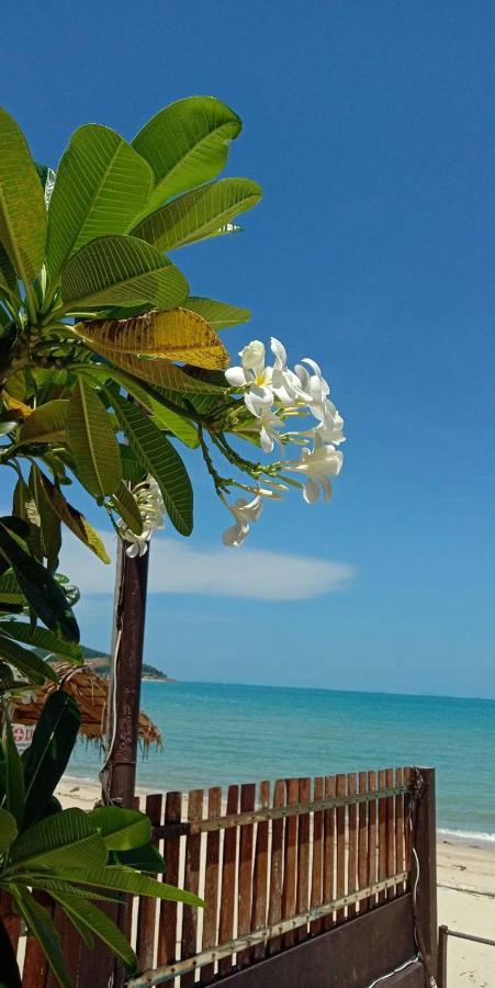 Lipa Bay Resort Lipa Noi Luaran gambar